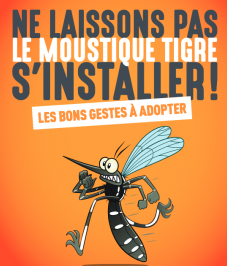moustique_surveillance