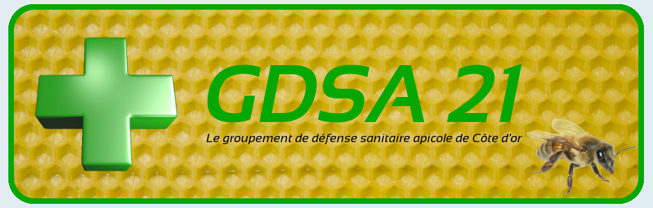 GDSA21